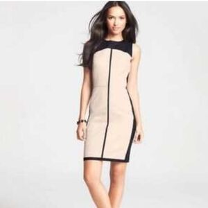NWT Ann Taylor Sleeveless Tan & Black Sheath Dress, Size 8P